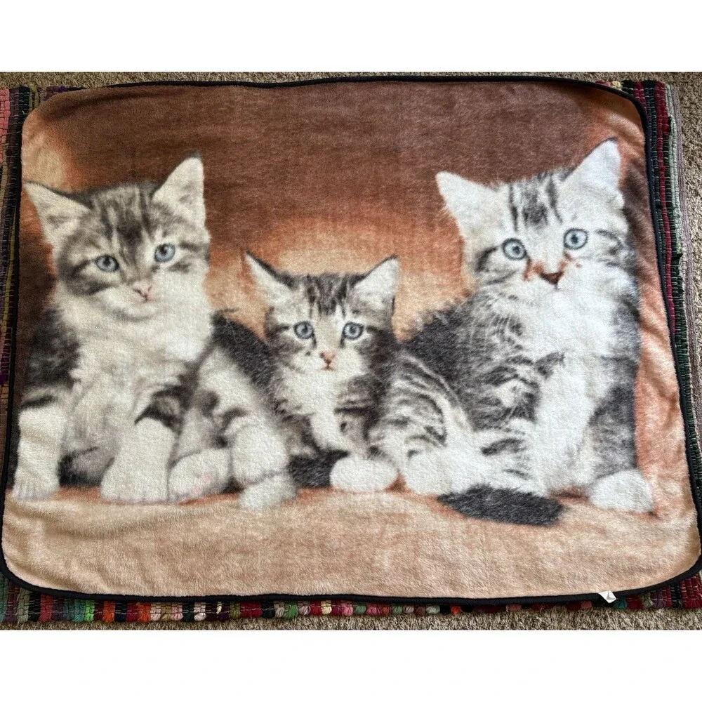 Three Cats Kittens Plush Throw Blanket Polyester 4’ 10” X 3’ 9” Double Sided